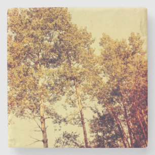 trees stone coaster