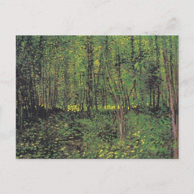 Trees & Undergrowth by Van Gogh Postcard (Front)