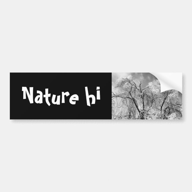 trees wear winter bumper sticker (Front)