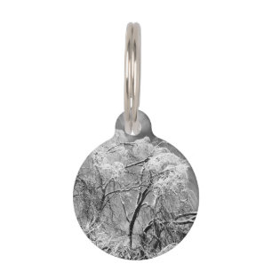 trees wear winter pet tag