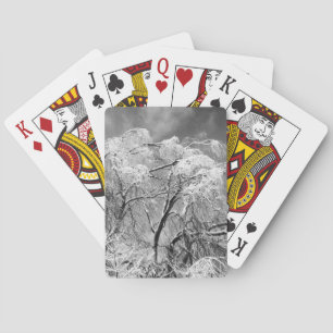 trees wear winter playing cards