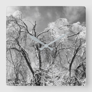 trees wear winter square wall clock