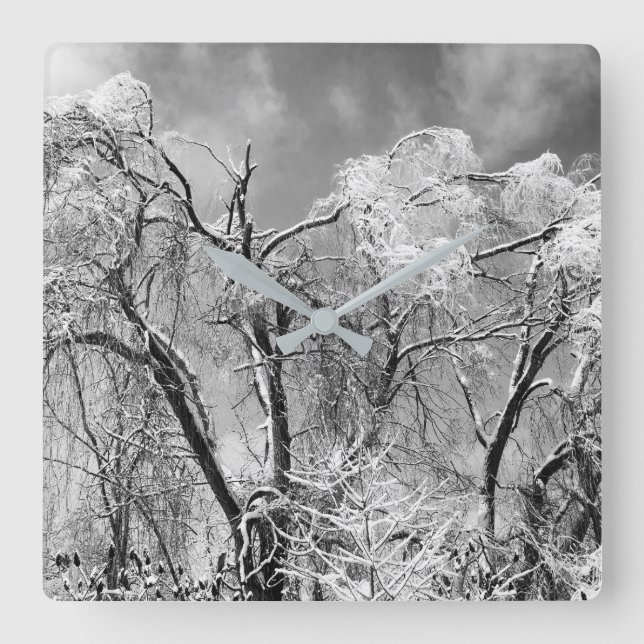trees wear winter square wall clock (Front)