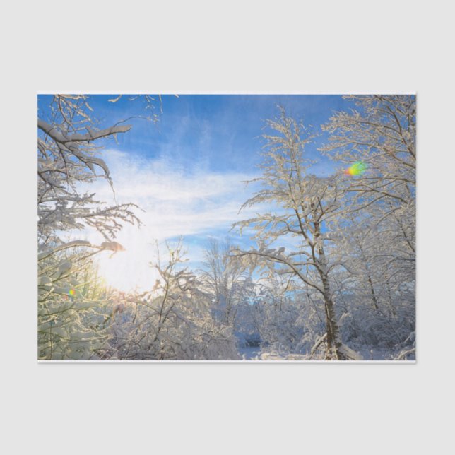 Trees Winter Snow Covered Blue Sky Clouds Scenery Tissue Paper (Front)