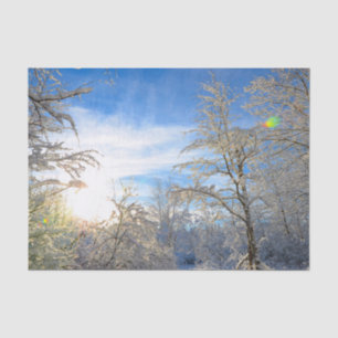 Trees Winter Snow Covered Blue Sky Clouds Scenery Tissue Paper