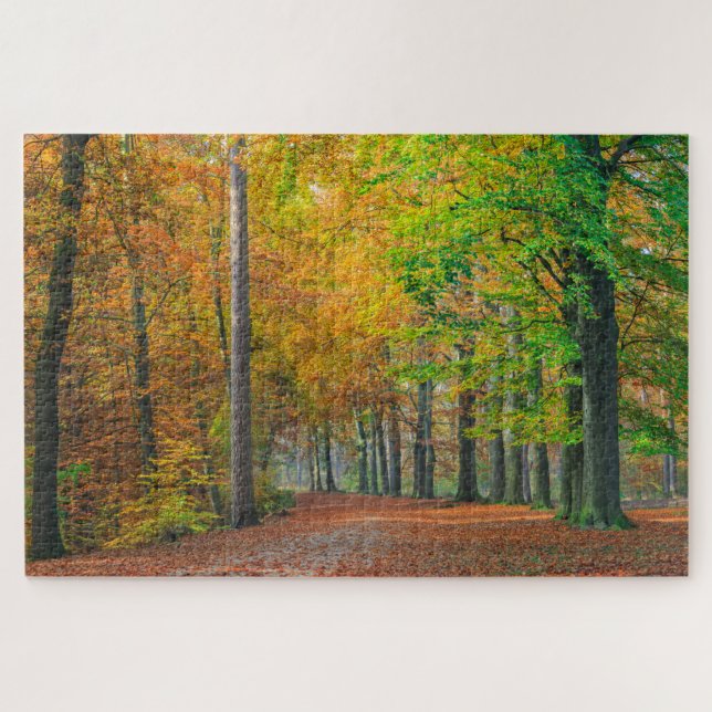 Trees with autumn foliage in a forest jigsaw puzzle (Horizontal)