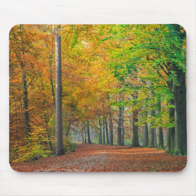 Trees with autumn foliage in a forest mouse pad (Front)