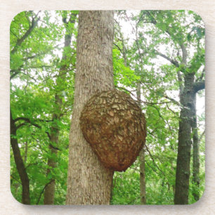 Trees with Large enclosed Bee Wasp Hive Coaster