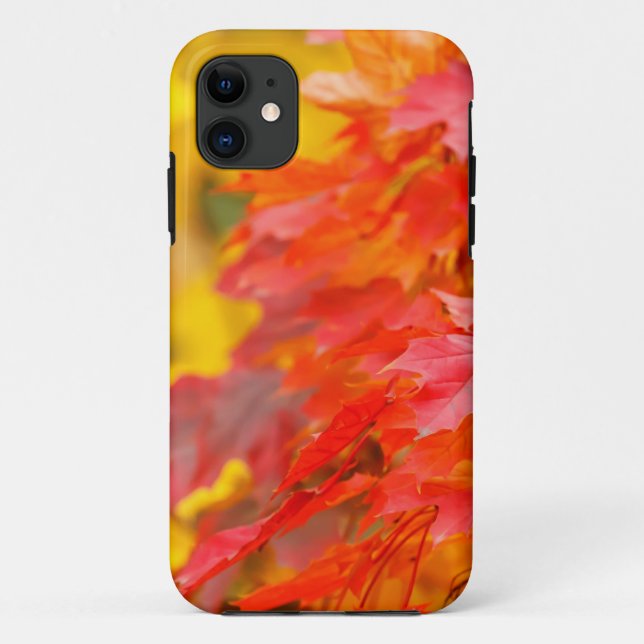 Trees with Orange and Yellow Leaves in the Fall Case-Mate iPhone Case (Back)