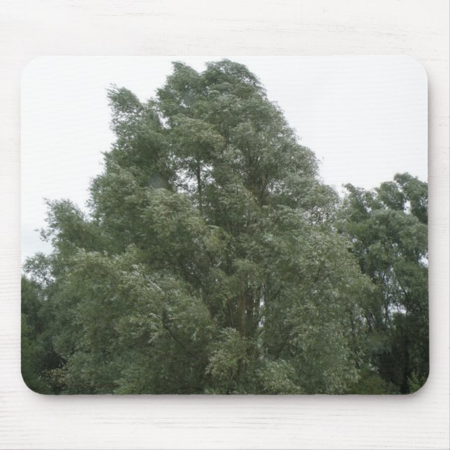 Treetops Mousepad (Front)