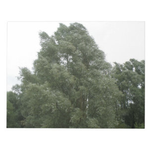 Treetops Notepad