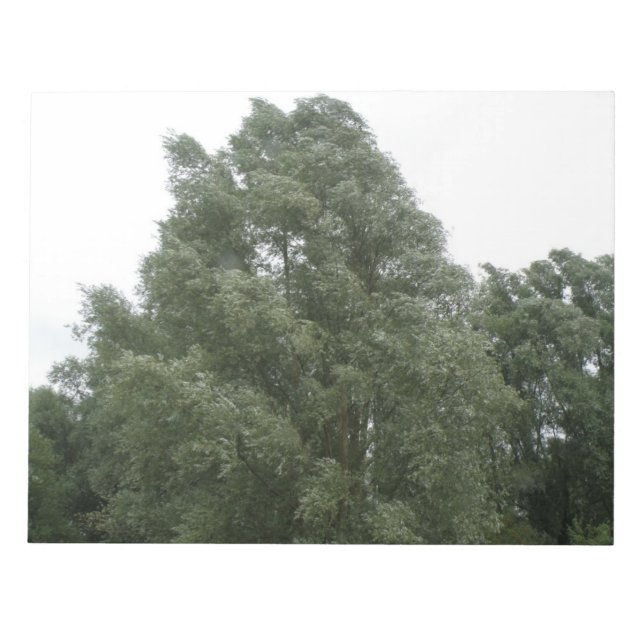 Treetops Notepad (Front)