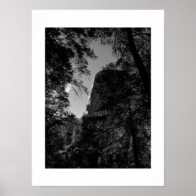 Treeview Yosemite Black and White Photography Poster (Front)