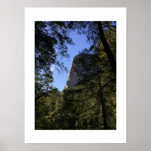 Treeview Yosemite Green Blue Colour Photography Poster