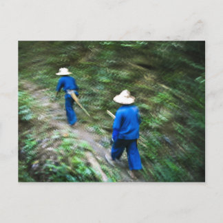 Trekking Through the Thai Jungle Postcard
