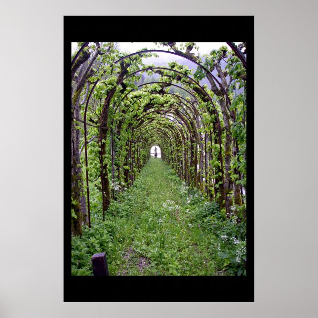 Trellis Tunnel - Germany Poster (Front)