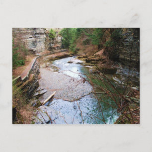 TREMAN STATE PARK ,ITHACA,N.Y. postcard