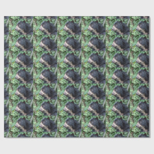 Tremarctos ornatus wrapping paper