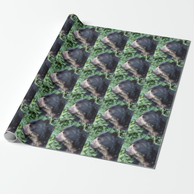 Tremarctos ornatus wrapping paper (Unrolled)