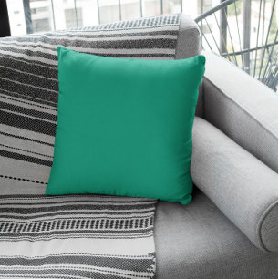 Trend Colour - Jade Green Cushion