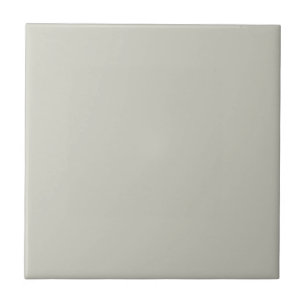 Trend Colour - Light Silver Grey Deco Ceramic Tile