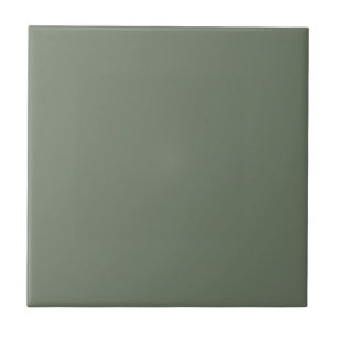 Trend Colour Muted Greenish-Grey Ceramic Tile