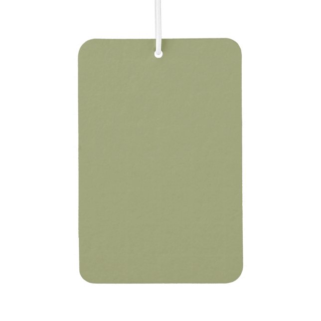 Trend Colour Reed Green Air Freshener  (Front)