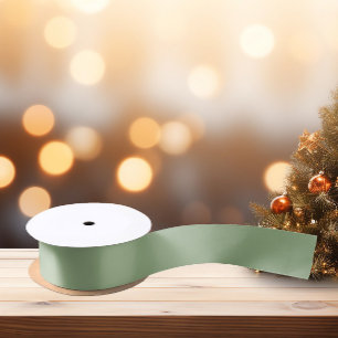 Trend Colour Soft Greenish Grey Satin Ribbon