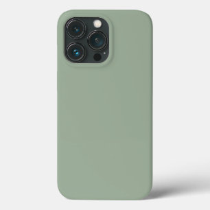 Trend Colour Soft Sage iPhone 13 Pro Case
