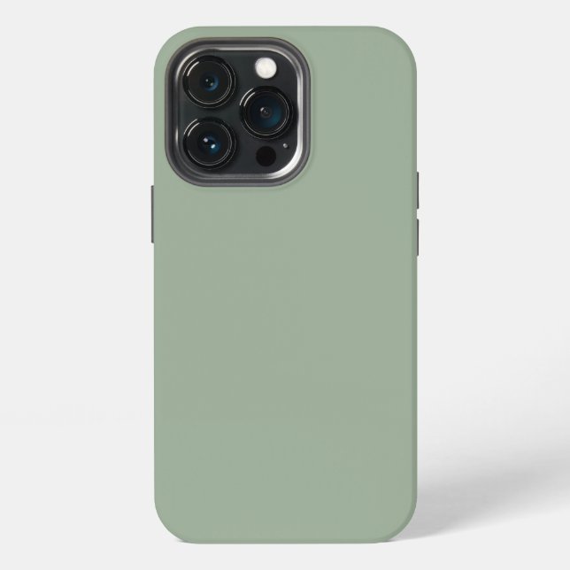 Trend Colour Soft Sage iPhone Case (Back)