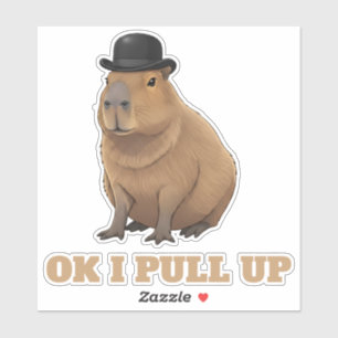 Trendy and funny Capybara meme design