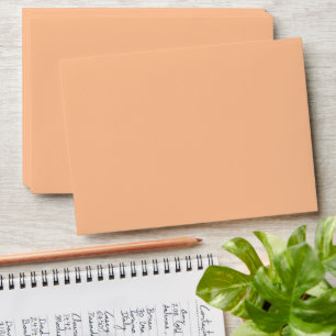 Trendy Colour Peach Fuzz Solid Colour Elegant Envelope