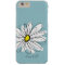Trendy Daisy Floral Illustration Script name