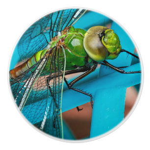 Trendy Drawer Cabinet Pulls Dragonfly