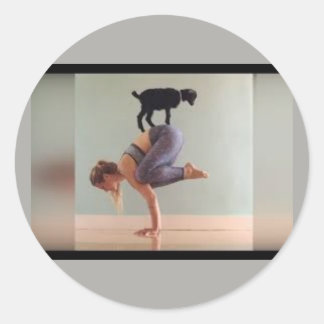 Trendy Goat Yoga, Ladiy & Goat on Sticker