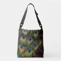 trendy green purple teal turquoise peacock feather