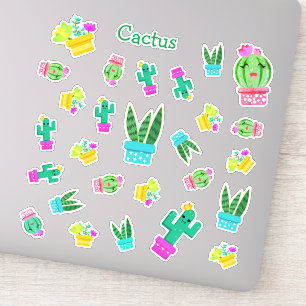 Trendy Kawaii Potted Succulents & Cactus