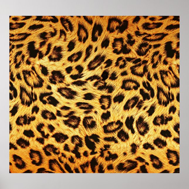 Trendy Leopard: Skin Design Pattern. Poster (Front)