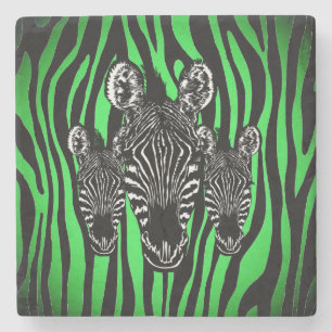 Trendy Lime Zebra  Herd on Zebra Print Stone Coaster