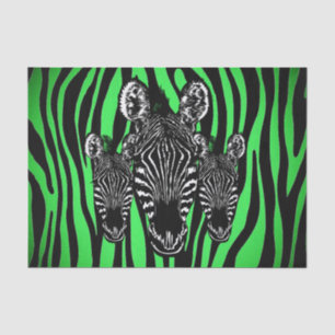 Trendy Lime Zebra Herd on Zebra Print Tissue Paper