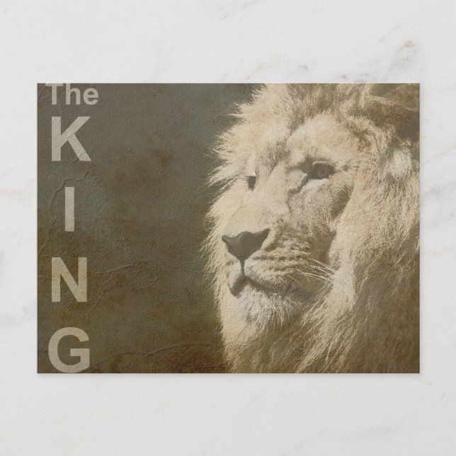 Trendy Lion Head The King Modern Pop Art Template Postcard (Front)