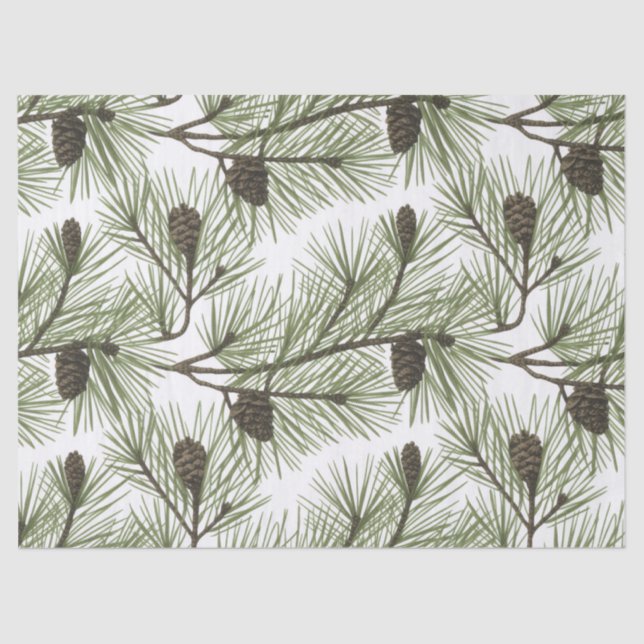 Trendy Merry Christmas Pine Cones and Branches     Tissue Paper (Front)