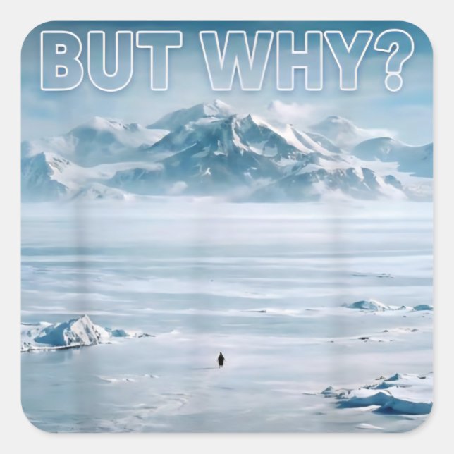 Trendy Nihilist Penguin But Why? Square Sticker (Front)