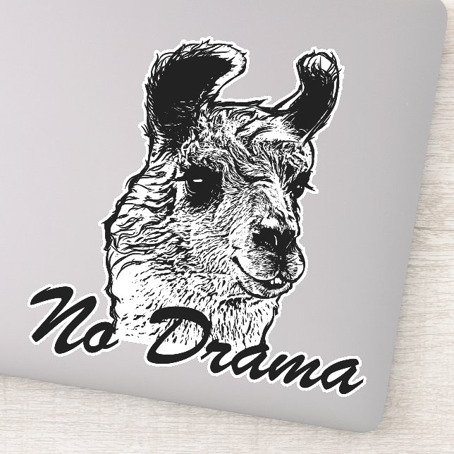 Trendy No Drama Llama (Detail)