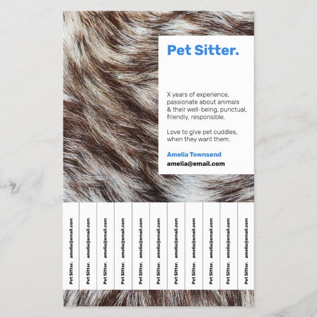 Trendy Pet Sitting Services Ad Modern Fur Photo Flyer (Front)