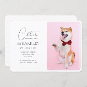 Trendy & Simple Pet Memorial Photo Invitation