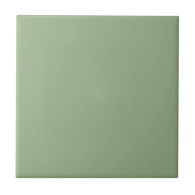 Trendy - Soft Greenish-Grey Ceramic Tile (Front)