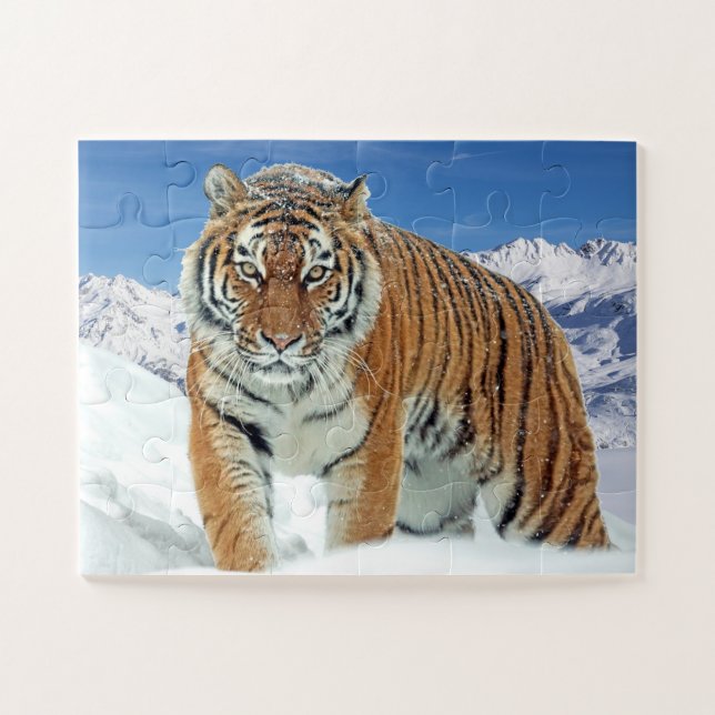 Trendy Tiger Snow Mountains Animal Photo Jigsaw Puzzle (Horizontal)