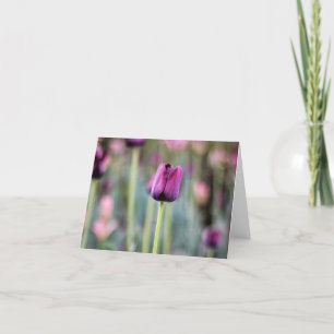 Tres Chic Tulip Note Card