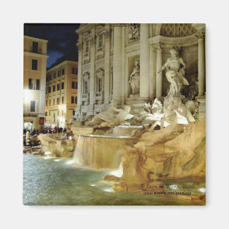 Trevi Fountain Magnet